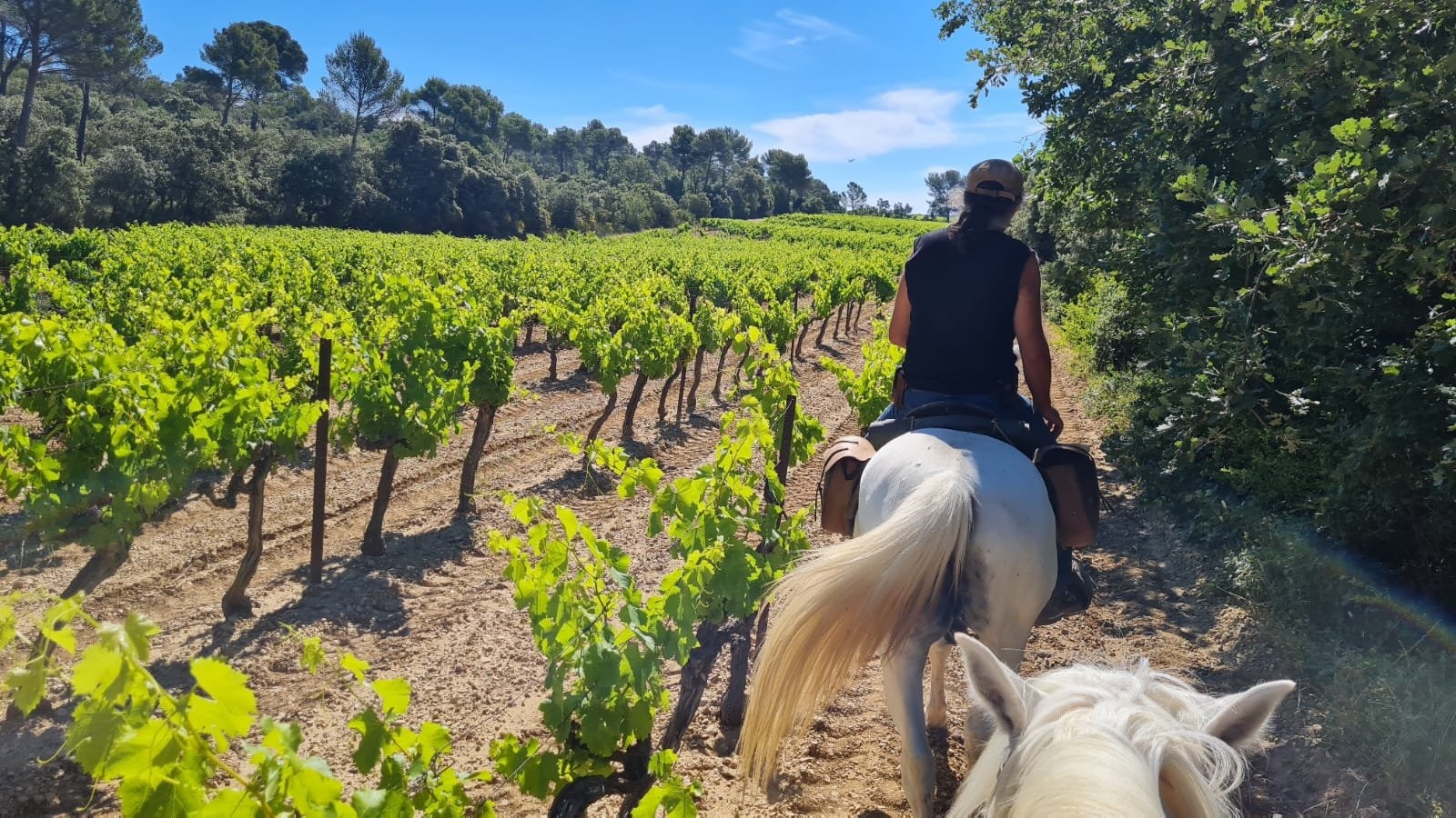 Voyage à cheval - Trois jours en rando à cheval entre Durance et Luberon