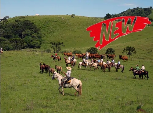 Voyage à cheval - Brésil : Randonnée à cheval avec les gauchos