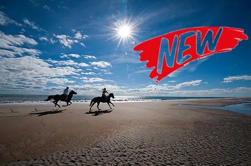 Voyage à cheval - Brésil : Plages et cocotiers à cheval
