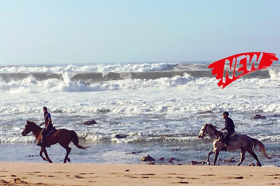 Voyage à cheval - Randonnée à cheval sportive au Maroc