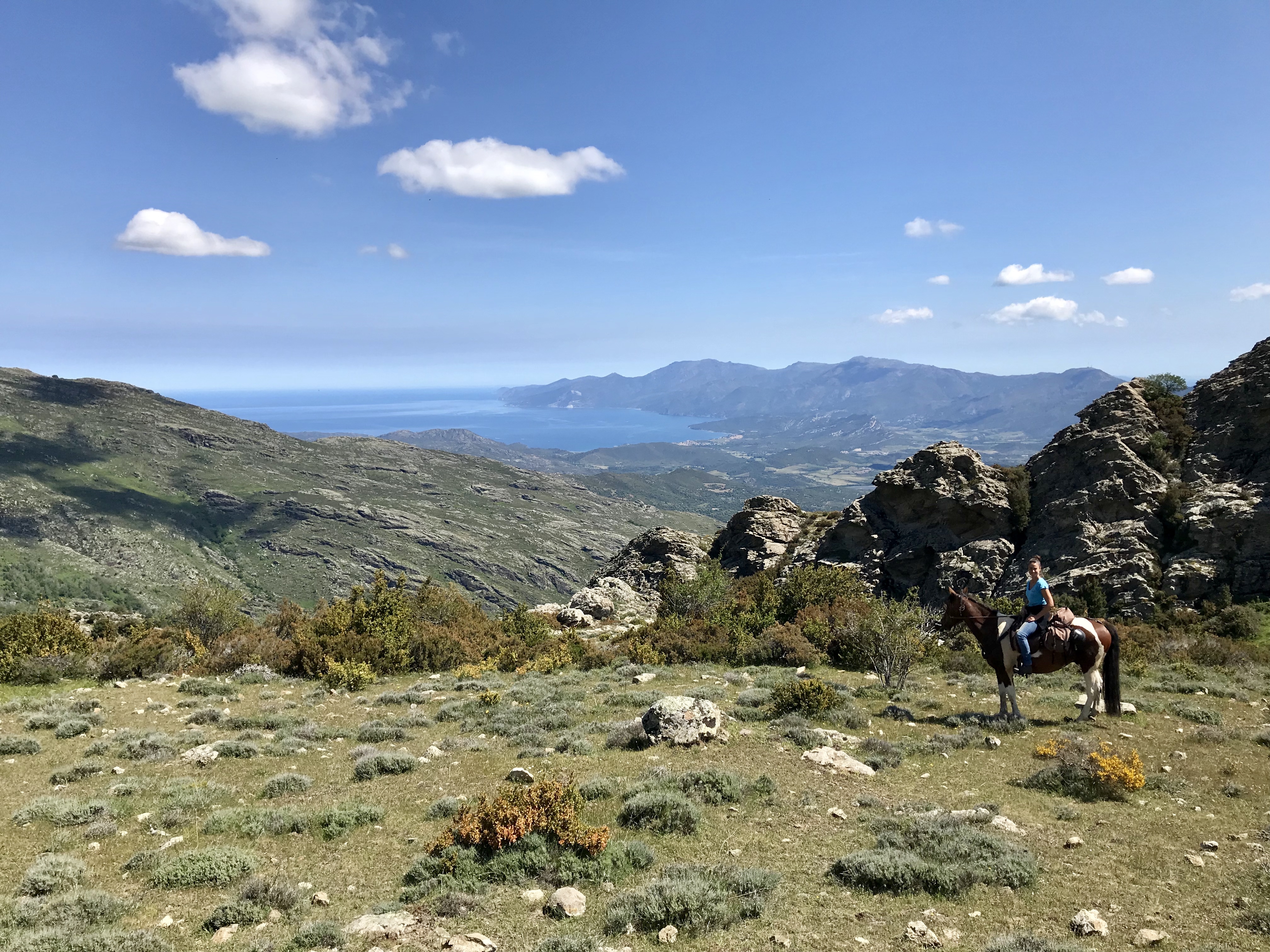 Voyage à cheval - Mer et Montagne Corse à cheval