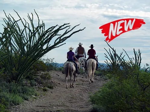 Voyage à cheval - Usa : Randonnées à cheval et séjour en ranch près de Tombstone en Arizona