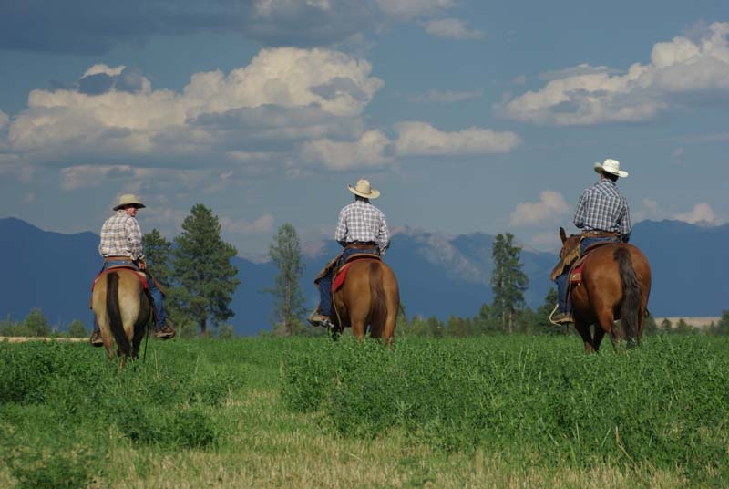 Voyage à cheval - Canada : Séjour en ranch et randonnées à cheval en Colombie Britannique