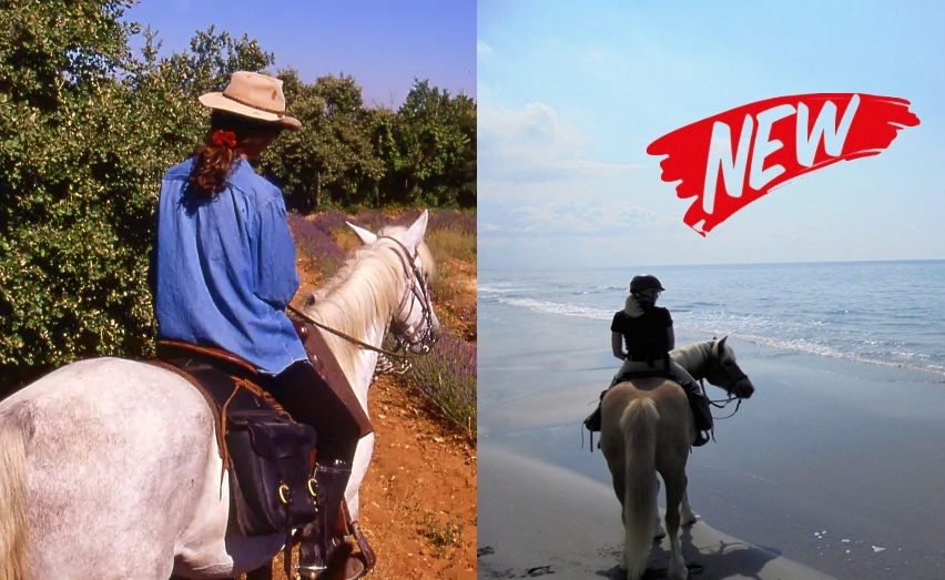Voyage à cheval - Deux semaines de voyage à cheval du Luberon à la Camargue + La Route de la Lavande