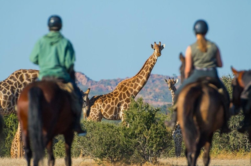 Voyage à cheval - Afrique du Sud : Safari \