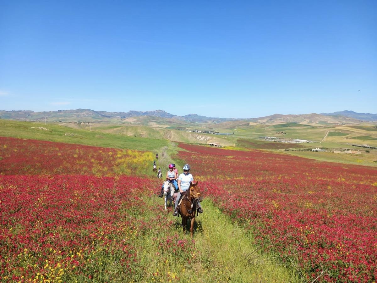 Voyage à cheval - Sicile : La Sicile secrète à cheval