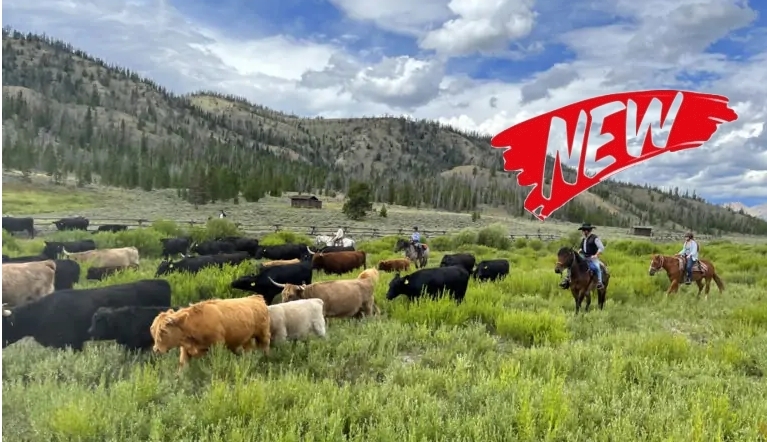 Voyage à cheval - Usa : Rando à cheval en bivouac dans le Wyoming