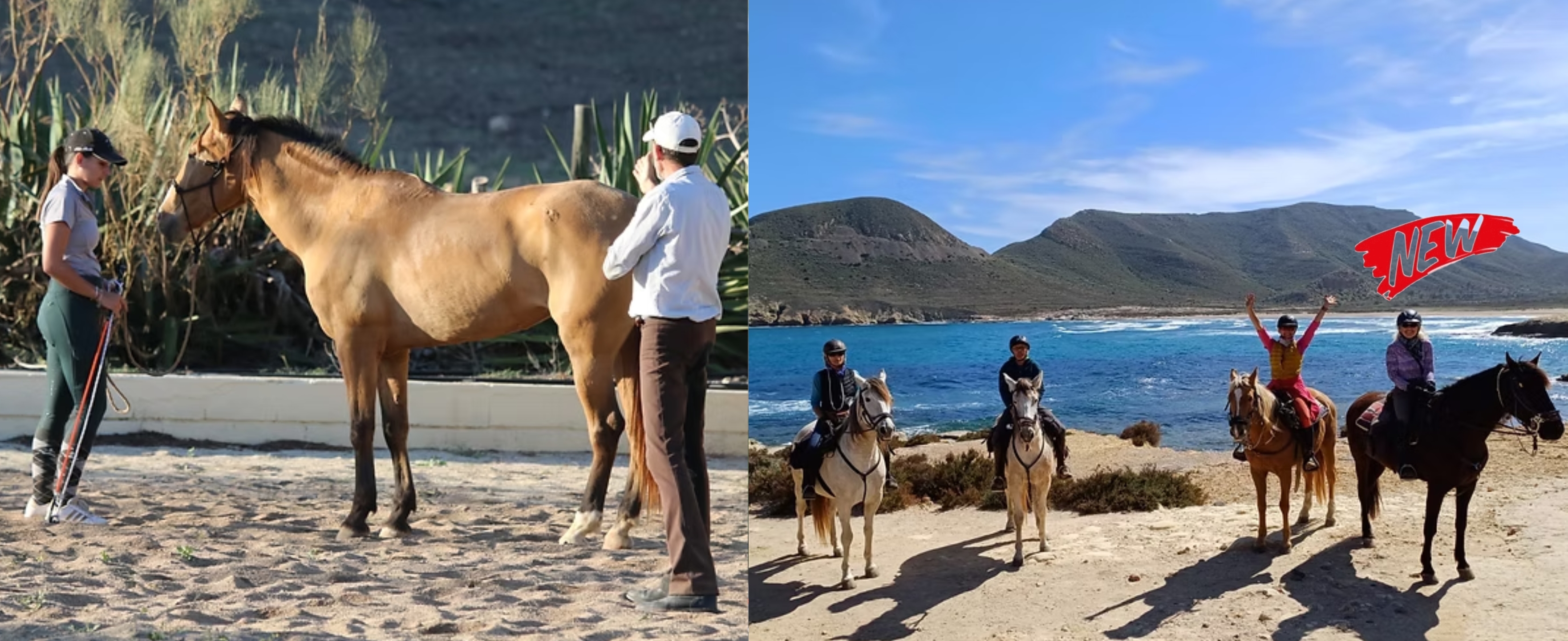 Voyage à cheval - Andalousie : Ethologie & rando à cheval dans le parc de Cabo de Gata