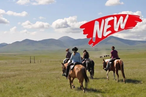 Voyage à cheval - Canada : La chevauchée de Kananaskis entre montagnes et prairies
