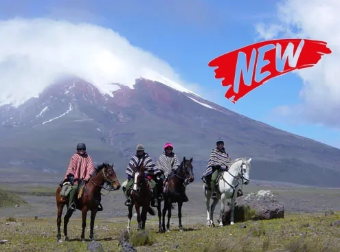 Voyage à cheval - Equateur : Au pied du volcan Cotopaxi