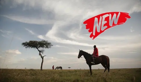 Voyage à cheval - Kenya : Safari à cheval du Masai Mara