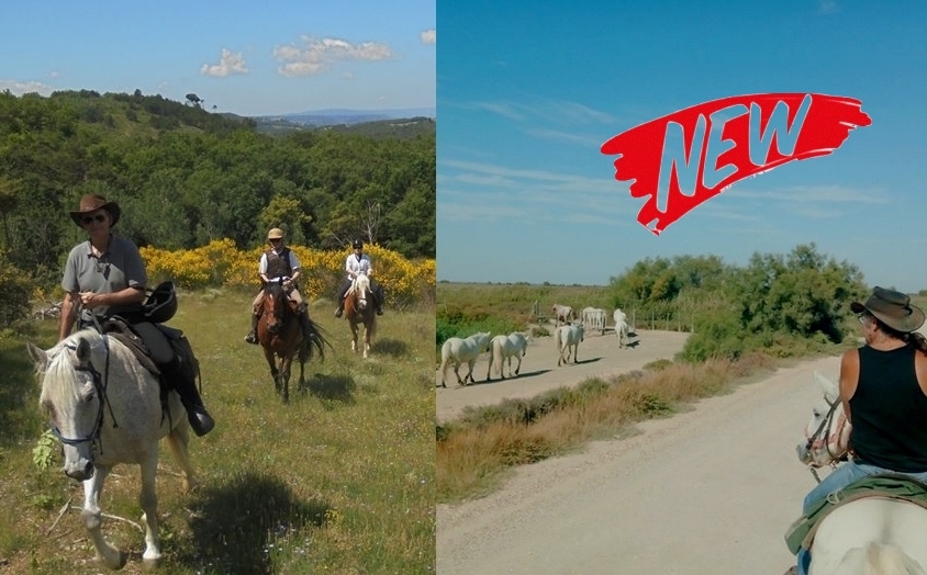 Voyage à cheval - Découverte du Luberon et de la Camargue à cheval