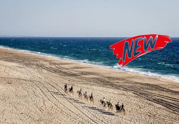 Voyage à cheval - Rando à cheval au Portugal dans les collines et sur les plages de la Serra de Grândola
