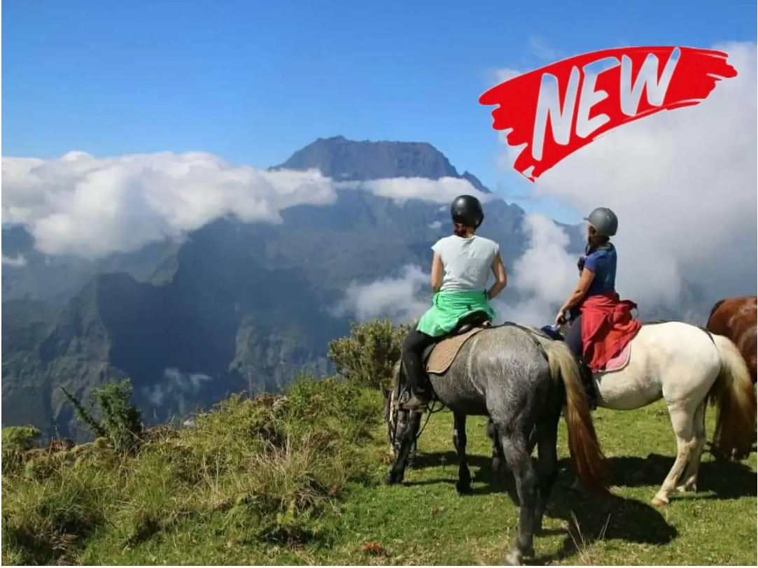 Voyage à cheval - Réunion : Découverte de la Réunion à cheval