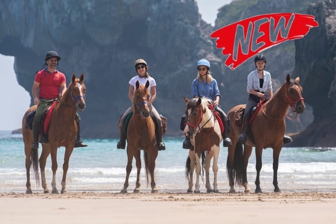 Voyage à cheval - Andalousie : Parc de la Doñana, perle de l\'Andalousie