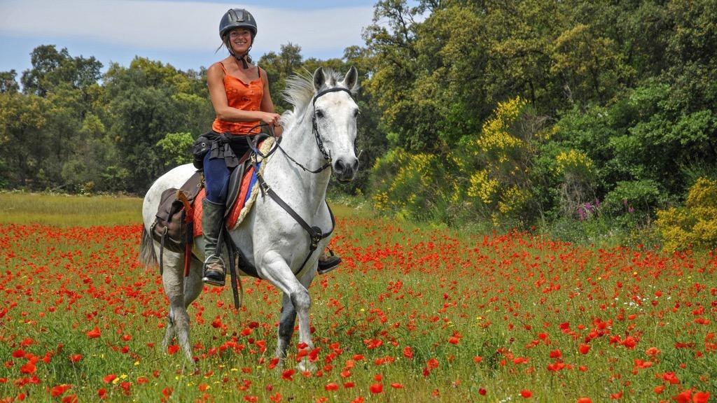 Voyage à cheval - Espagne : La Côte Catalane à cheval