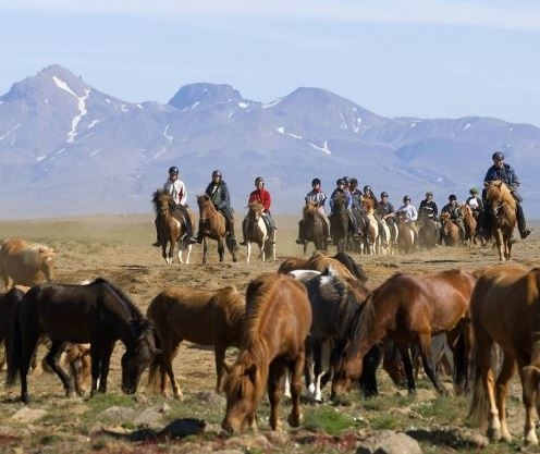 Voyage à cheval - La traversée de l\'Islande à cheval
