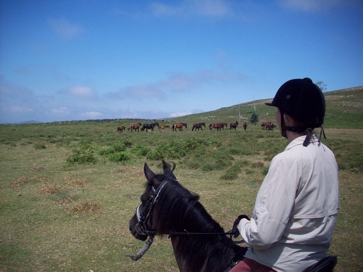 Voyage à cheval - Rando à cheval au Portugal dans le parc naturel de Peneda-Geres à la rencontre des chevaux sauvages
