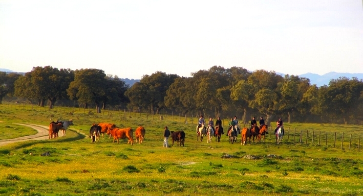 Voyage à cheval - Espagne : Randonnée à cheval des Conquistadors en itinérance en Extremadure