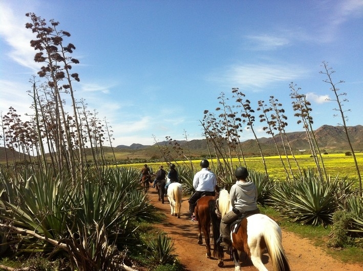 Voyage à cheval - Andalousie : Initiation & Perfectionnement à la rando à cheval dans le parc de Cabo de Gata