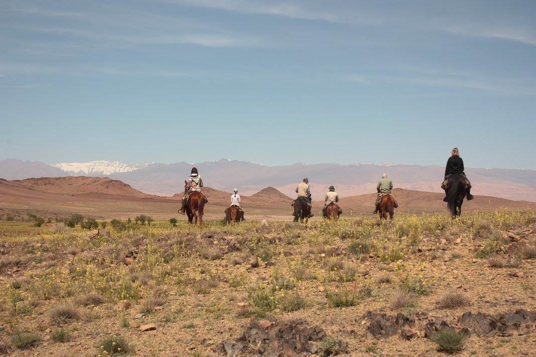 Voyage à cheval - Le Djebel Saghro