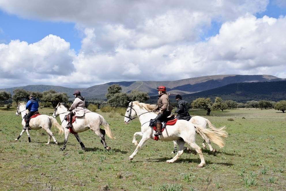 Voyage à cheval - Espagne: Randonnée à cheval en étoile en Extremadure
