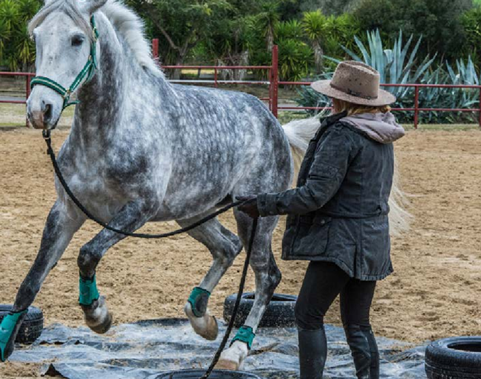 Voyage à cheval - Andalousie : Stage d\'éthologie au pied de la Sierra Navada