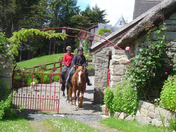 Voyage à cheval - Stage d\'équitation et randonnées en étoile en Irlande