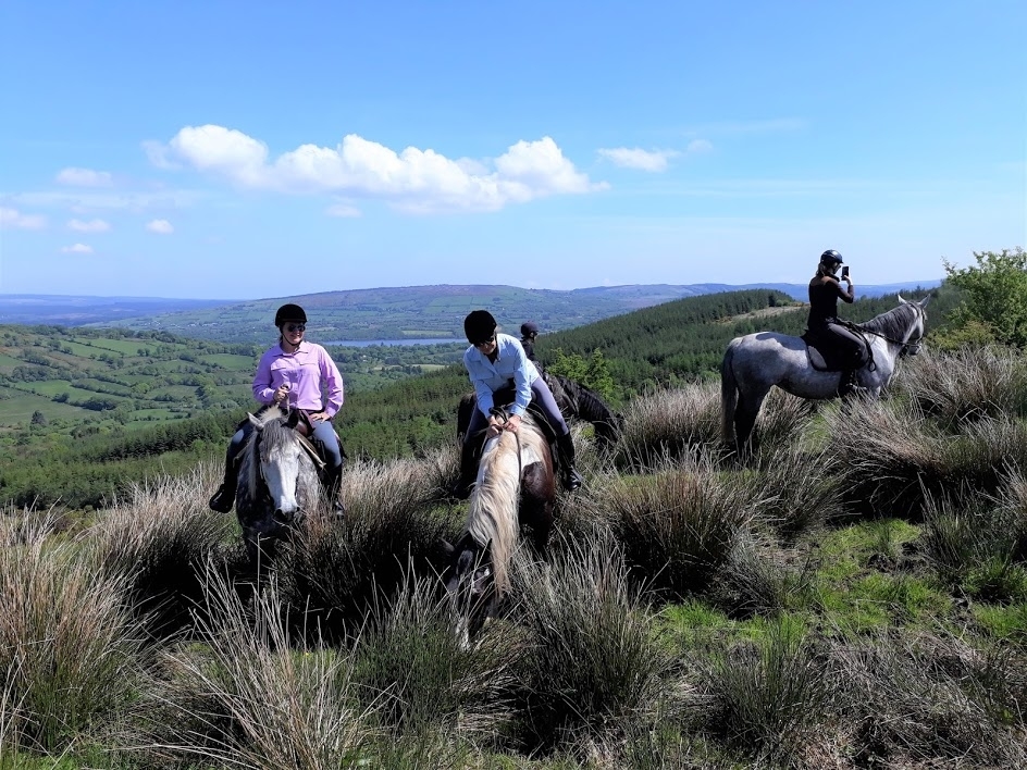 Voyage à cheval - Les sentiers celtiques d\'Irlande à cheval