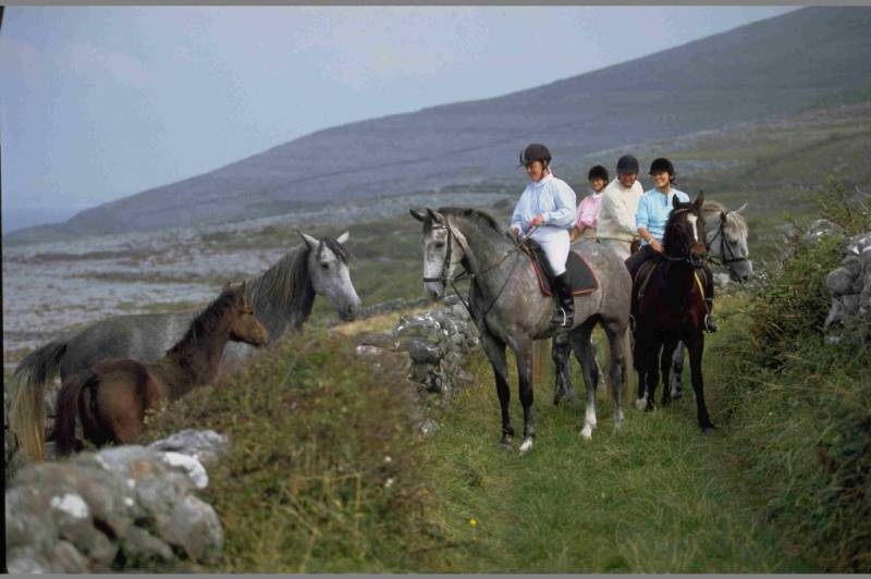 Voyage à cheval - Châteaux et monastères d\'Irlande à cheval