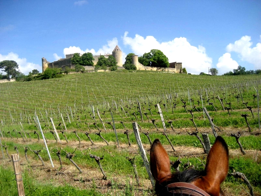 Voyage à cheval - Les grands vins de Bordeaux à cheval