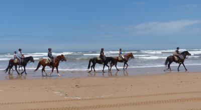 rando cheval maroc