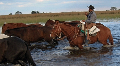 randonnée à cheval en Argentine