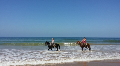 decouverte du Maroc à cheval