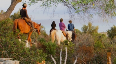 tourisme equestre en Corse rando équestre en Corse