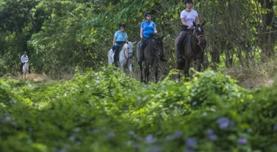 voyage à cheval Costa Rica