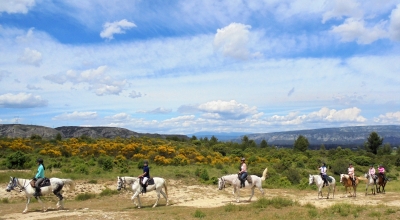 rando cheval Luberon