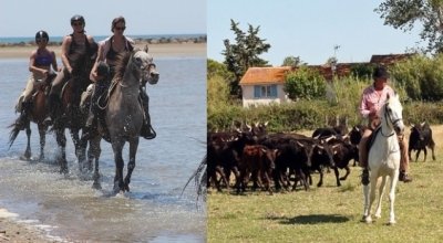 randonnée a cheval Camargue