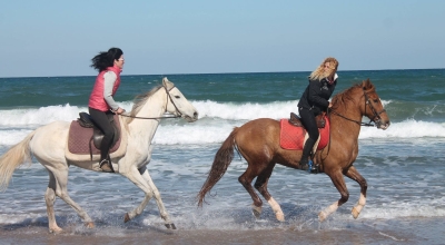 rando à cheval sportive