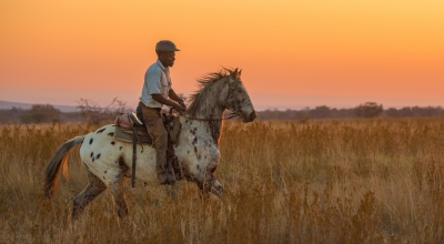 rando safari à cheval
