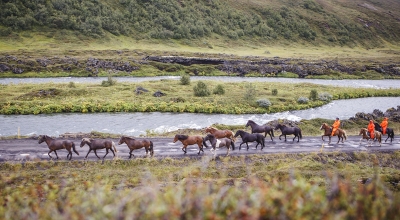 rando cheval Islande