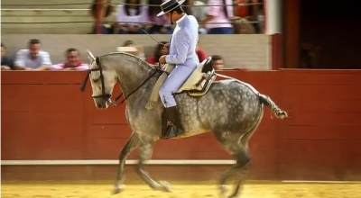 stage equitation doma vaquera Andalousie