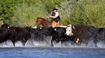 ranch cheval Usa