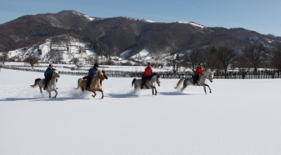 rando à cheval dans la neige en Roumanie