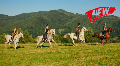 rando cheval Roumanie