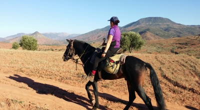 rando cheval confortable Maroc