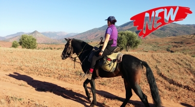 rando cheval Maroc