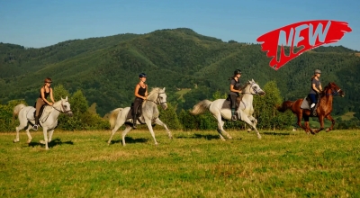 rando a cheval Roumanie