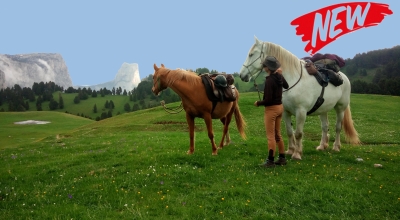 rando a cheval dans le Vercors