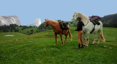 Vercors à cheval